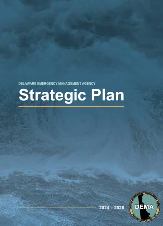 Link to the DEMA Strategic Plan