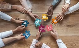 Link to Meet the Team